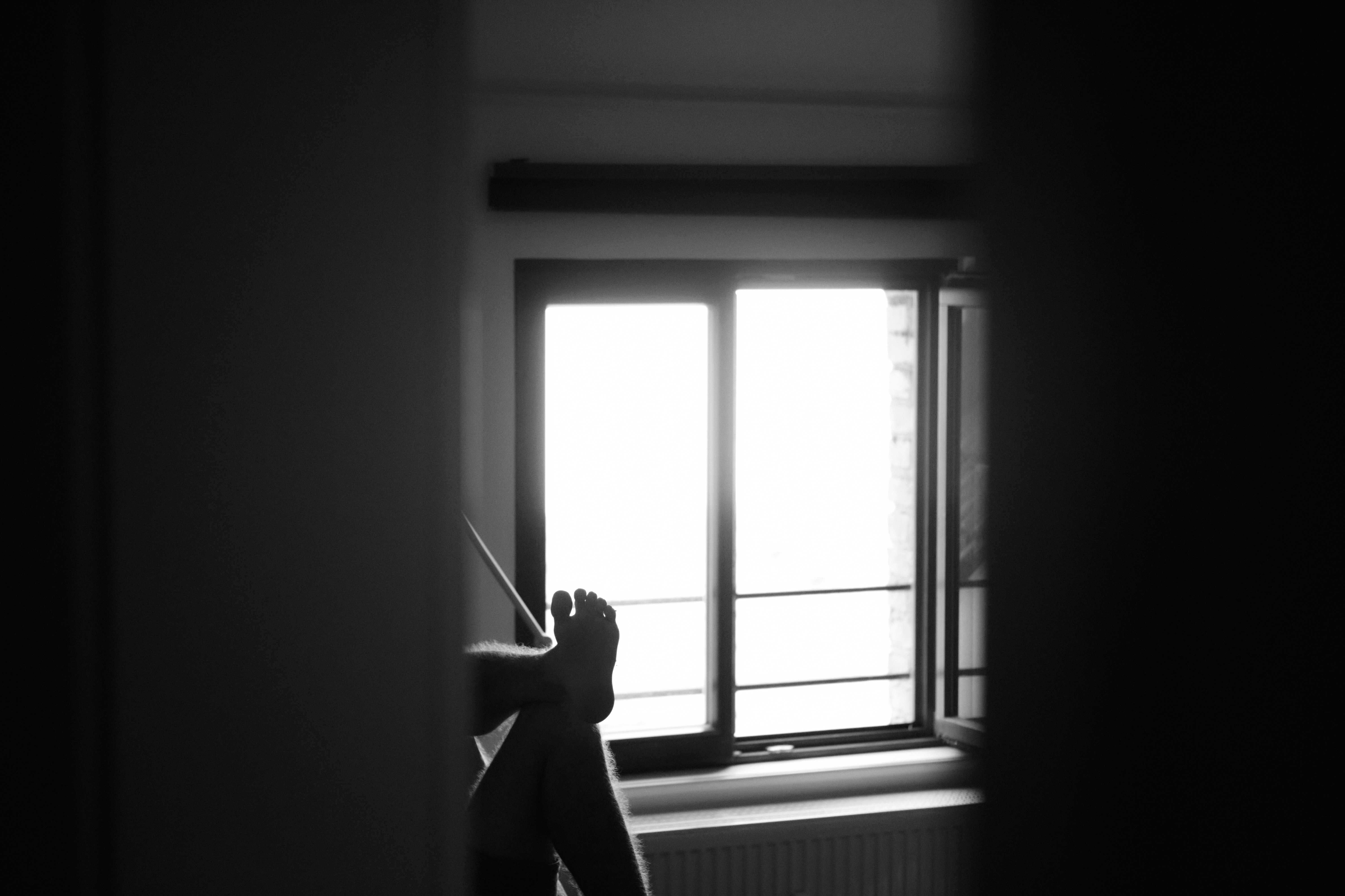 Freier gleicher Wille